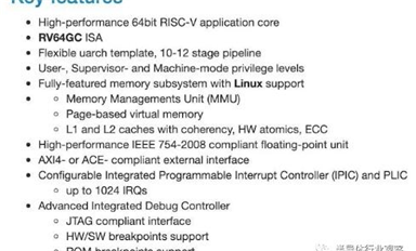 俄羅斯為電腦打造RISC-V處理器：8核、2 GHz、12納米