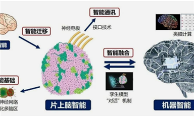 全球首創(chuàng)！中國研制出可開源的片上腦-機接口智能交互系統(tǒng)MetaBOC（薩科微7月1日芯聞）