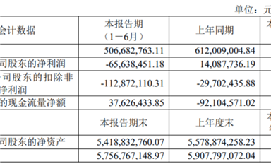 思瑞浦/南芯/帝奧微悲喜不相通，模擬電源的春天要等到2026年？