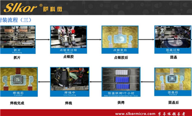 薩科微的主要市場方向？